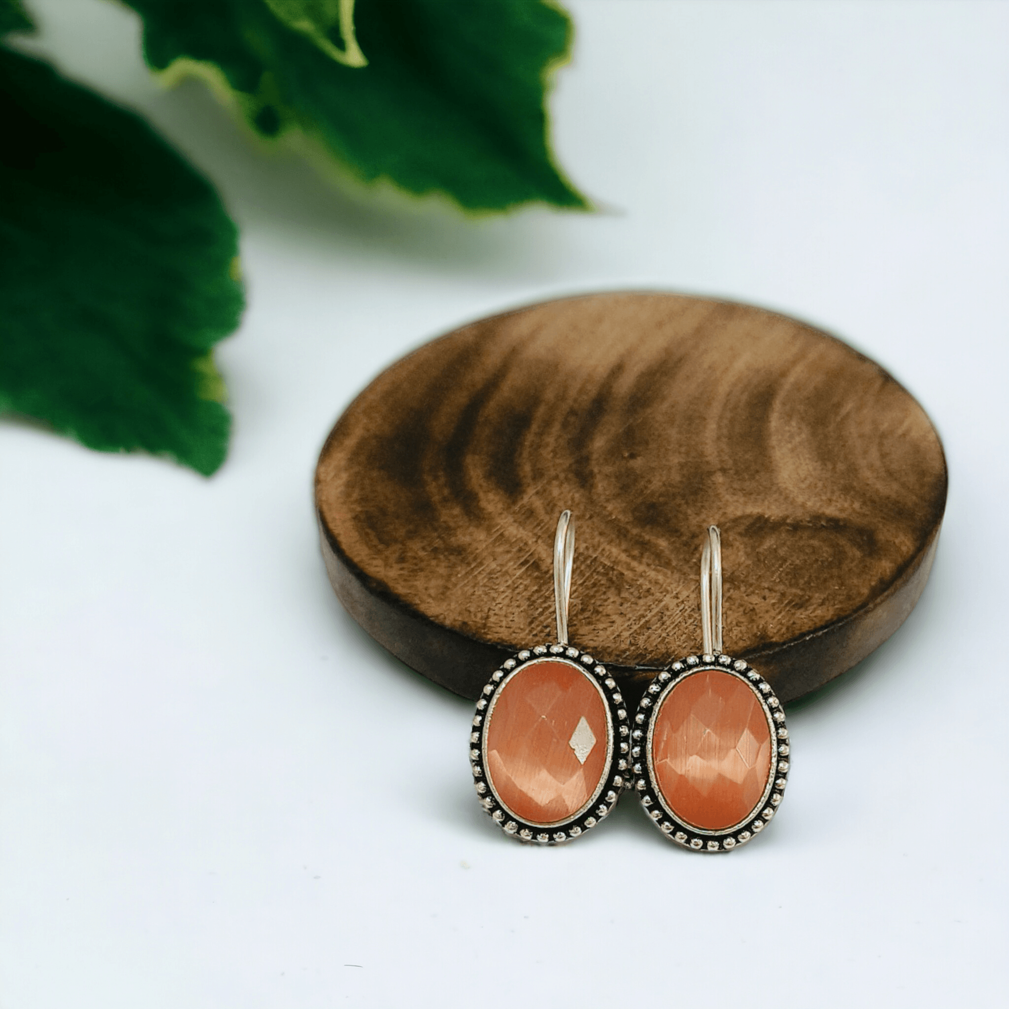 Trendy Stone Oxidized Hook Earring